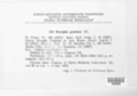 Blumeria graminis image